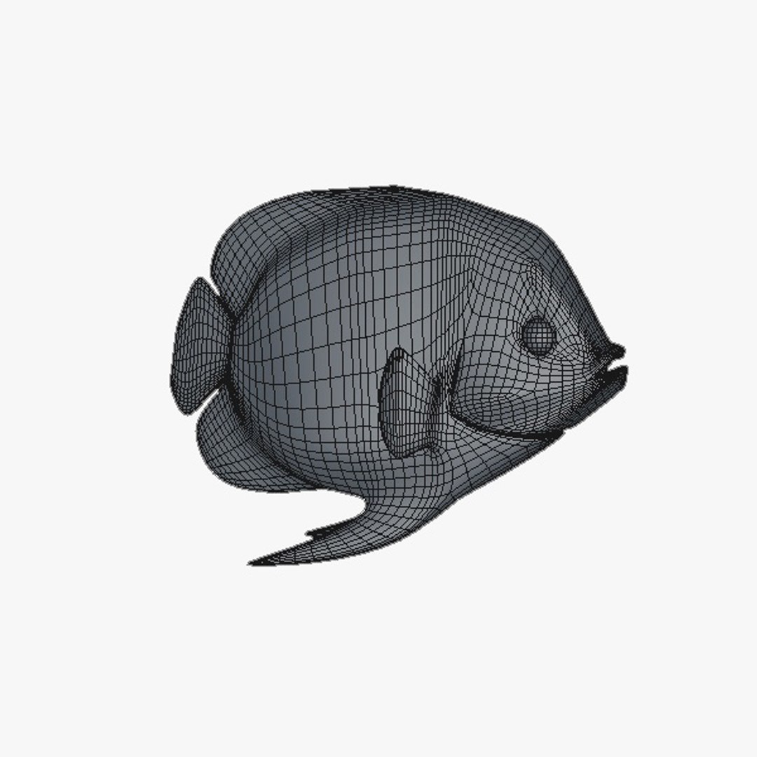 fish 3d c4d https://p.turbosquid.com/ts-thumb/HV/BwYaxf/bjahPZGD/fish_03/jpg/1364156182/1920x1080/fit_q87/a3807be117b3ac1c3c4ce0285512e7182a4324ff/fish_03.jpg