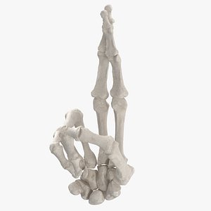 Real Human Hand Bones White Good Luck Sign
