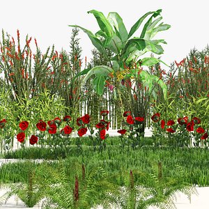 Low poly plants collection pack