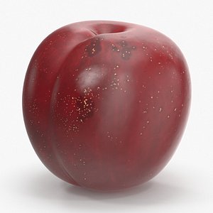 plum lighter skin leaf 3d model