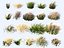 Meadow Plants Animated Ecosystems Pack 24