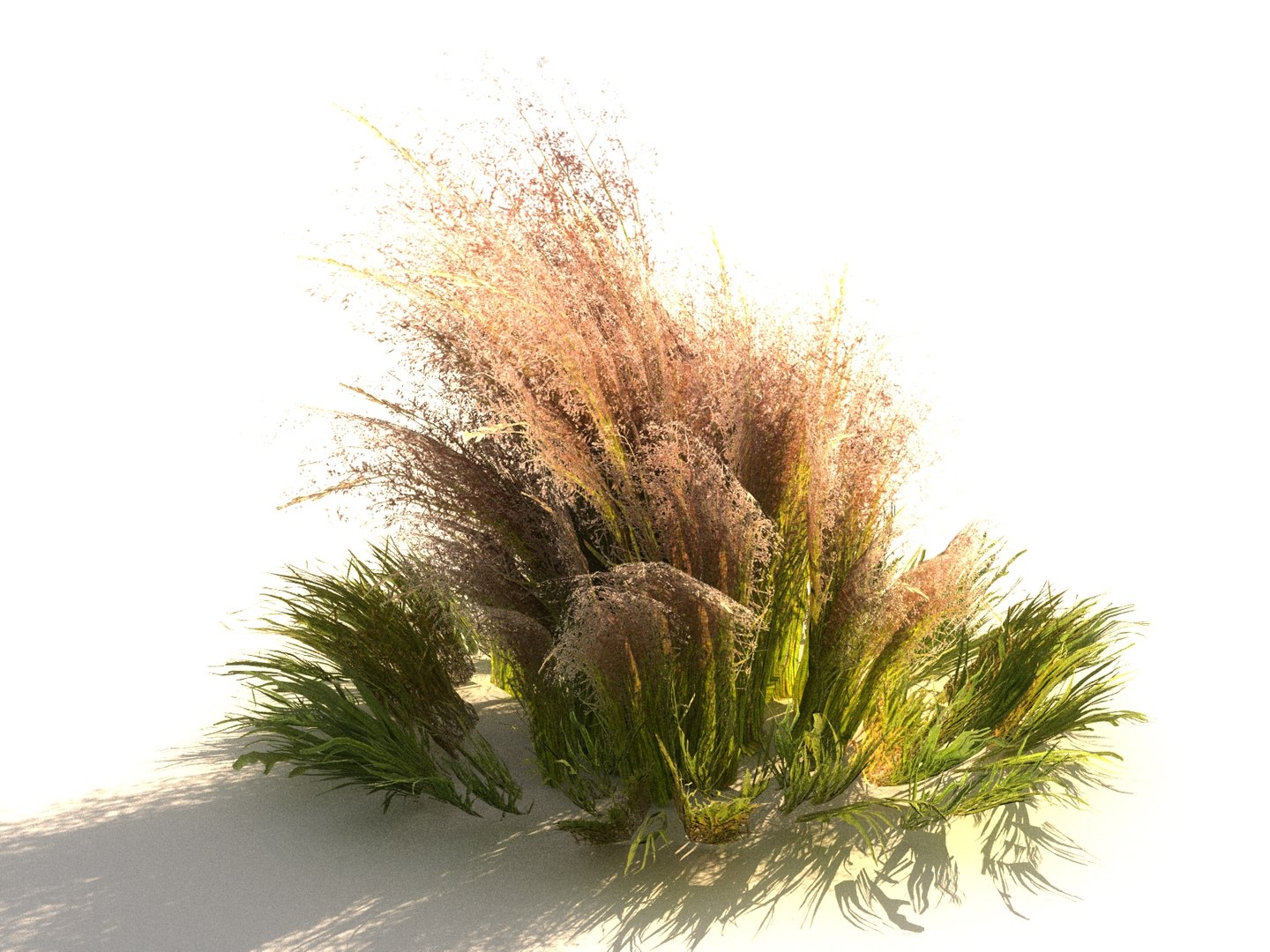 3D meadow plants ecosystems pack https://p.turbosquid.com/ts-thumb/HV/lY1J3w/IqrbsRRP/33/jpg/1562018600/1920x1080/fit_q87/74771b6e4fe3b401bf3651a0a48b50c5c7c4641f/33.jpg