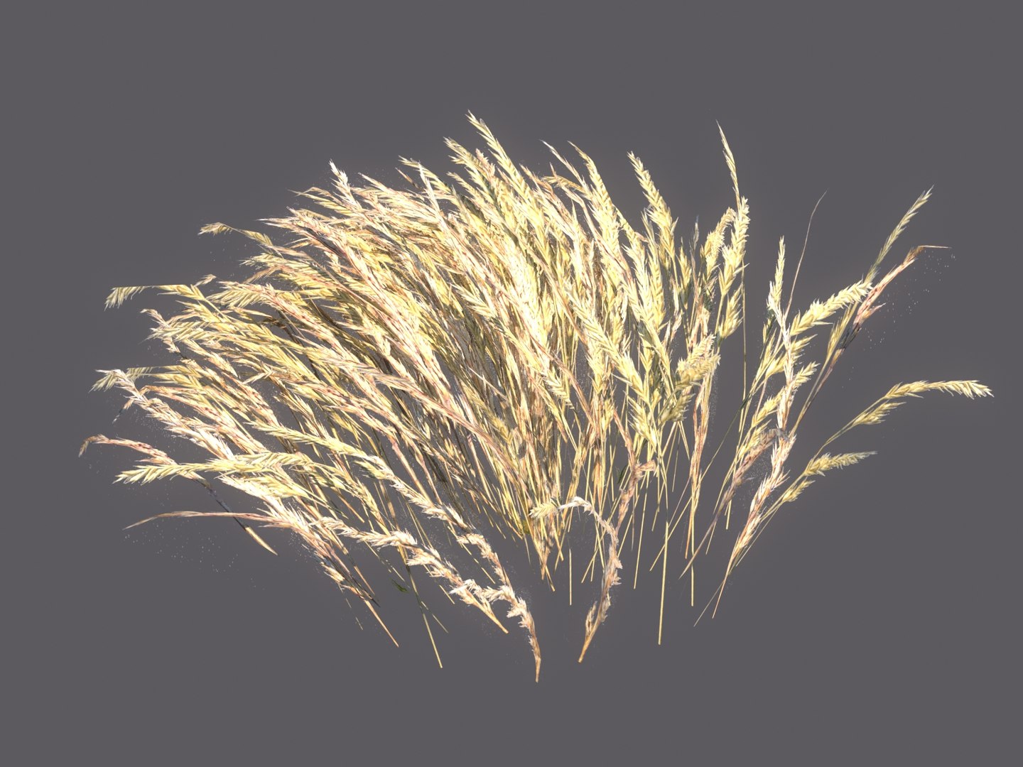 3D meadow plants ecosystems pack https://p.turbosquid.com/ts-thumb/HV/lY1J3w/JHry4eWp/7787898/jpg/1562020200/1920x1080/fit_q87/dbff40cf1aef34ad2ec63ef942032a9731c28153/7787898.jpg