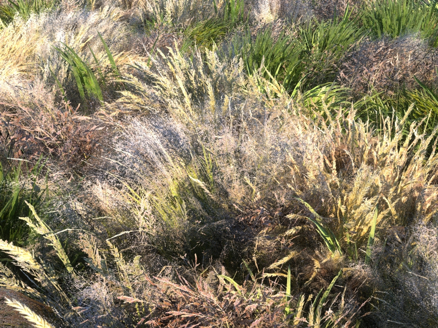 3D meadow plants ecosystems pack https://p.turbosquid.com/ts-thumb/HV/lY1J3w/LgSghOea/0000/jpg/1562018008/1920x1080/turn_fit_q99/2350a91d957f27ddce82e437bef83dcdb75a0bbb/0000-1.jpg