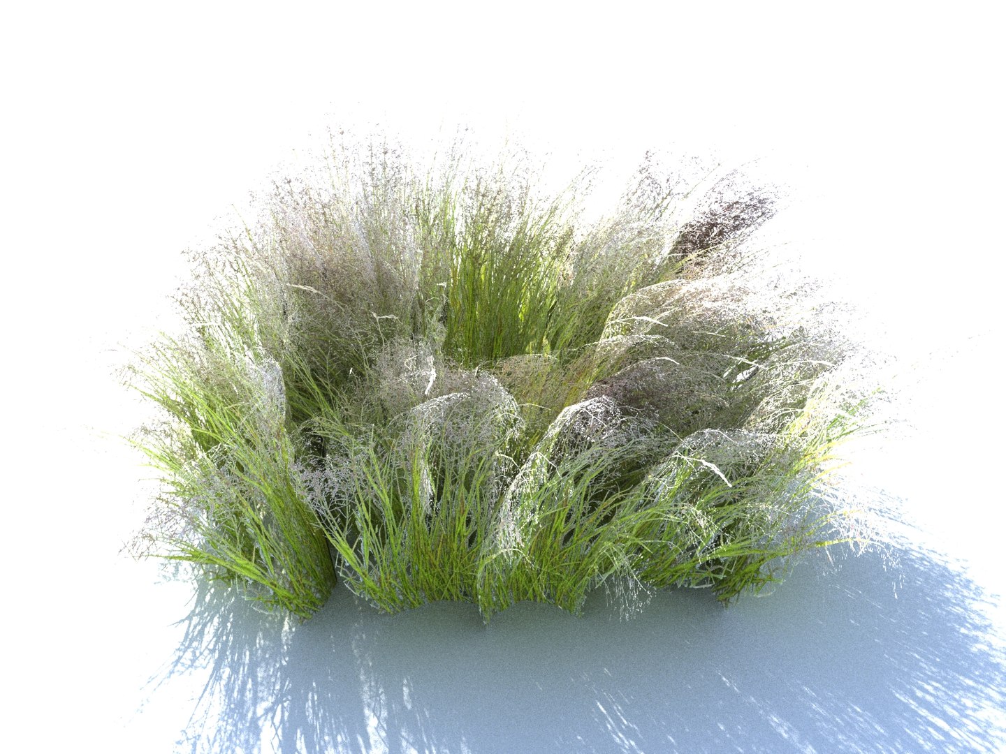 3D meadow plants ecosystems pack https://p.turbosquid.com/ts-thumb/HV/lY1J3w/W7laLNi4/77786789/jpg/1562020201/1920x1080/fit_q87/9538aac5b6ad39346558786e0fe127ff2d00a254/77786789.jpg