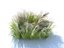 Meadow Plants Animated Ecosystems Pack 24