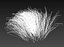 Meadow Plants Animated Ecosystems Pack 24