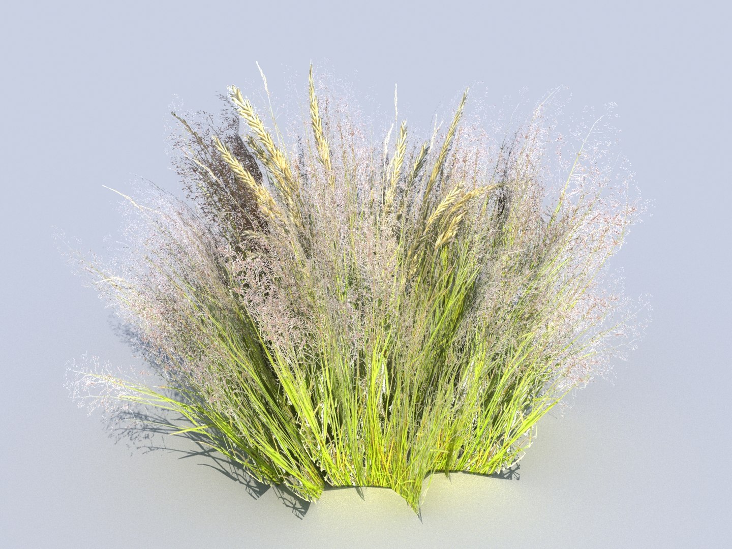 3D meadow plants ecosystems pack https://p.turbosquid.com/ts-thumb/HV/lY1J3w/jpu8nJSA/7786789989/jpg/1562020201/1920x1080/fit_q87/8451c0c829cfbab4f0d49d8587fa7de342b3a8db/7786789989.jpg