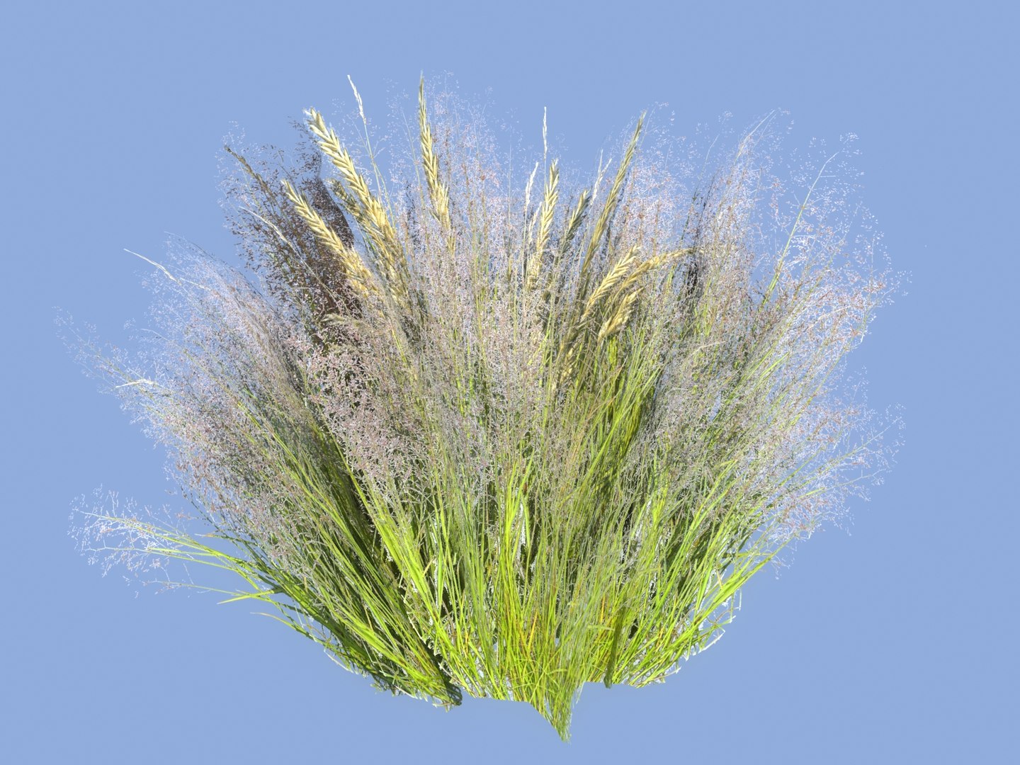 3D meadow plants ecosystems pack https://p.turbosquid.com/ts-thumb/HV/lY1J3w/neeqa0SC/9908900/jpg/1562020200/1920x1080/fit_q87/a995b9c48f917dc63fd6c373981ee52edd61a1e0/9908900.jpg