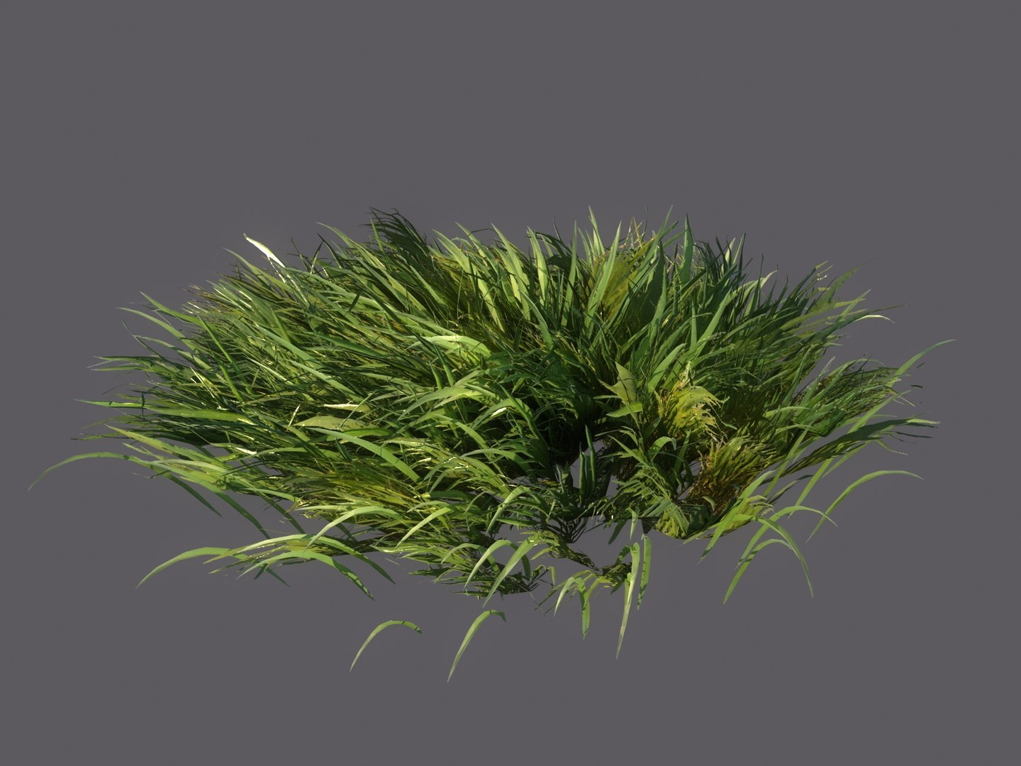 3D meadow plants ecosystems pack https://p.turbosquid.com/ts-thumb/HV/lY1J3w/oa2fWDT2/787898/jpg/1562018600/1920x1080/fit_q87/01297d69d78940b3e41a12854af244663e197348/787898.jpg