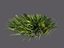 Meadow Plants Animated Ecosystems Pack 24
