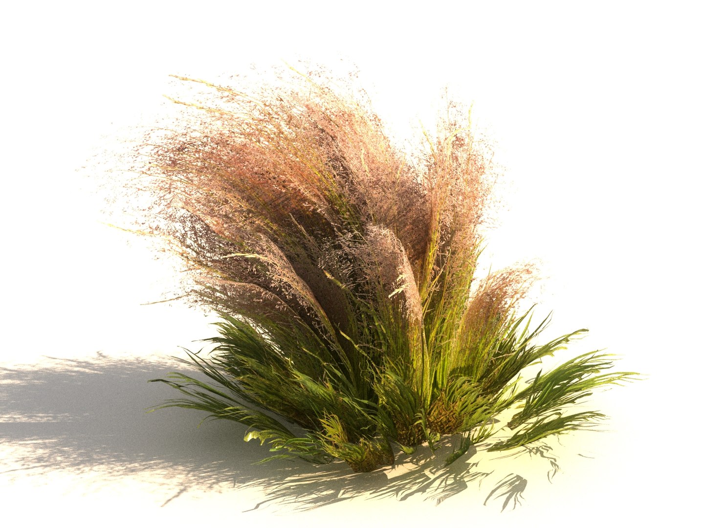 3D meadow plants ecosystems pack https://p.turbosquid.com/ts-thumb/HV/lY1J3w/xGHNn1P7/a11/jpg/1562018600/1920x1080/fit_q87/470213d0e24df60ef70c18dea088866ea634fb21/a11.jpg