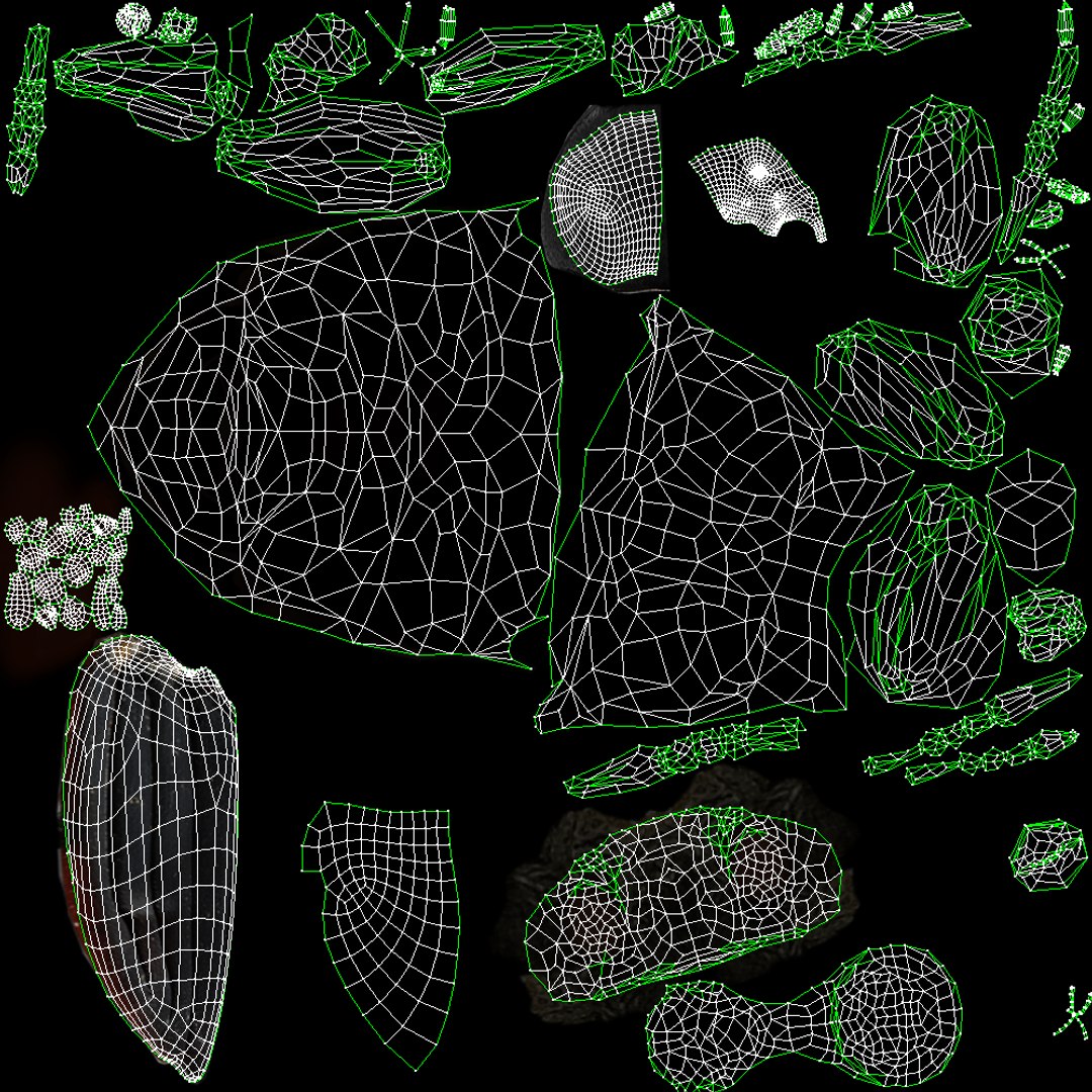 Black Insect Beetle Thanatophilus Sinuatus model https://p.turbosquid.com/ts-thumb/HV/qbBNRK/GG/uv/png/1764409738/1920x1080/fit_q87/442e3ace1e850dc22dda37baf1e443a7c9bbacbb/uv.jpg