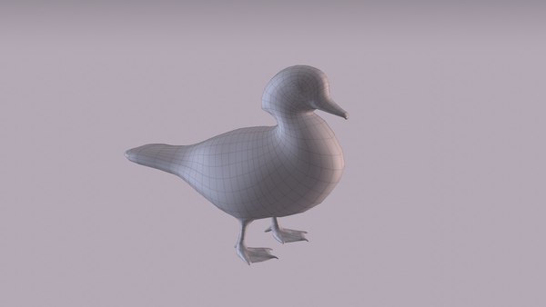 Wood Duck 3D model - TurboSquid 1729991