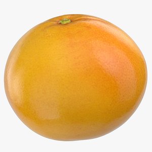 grapefruit 05 3D