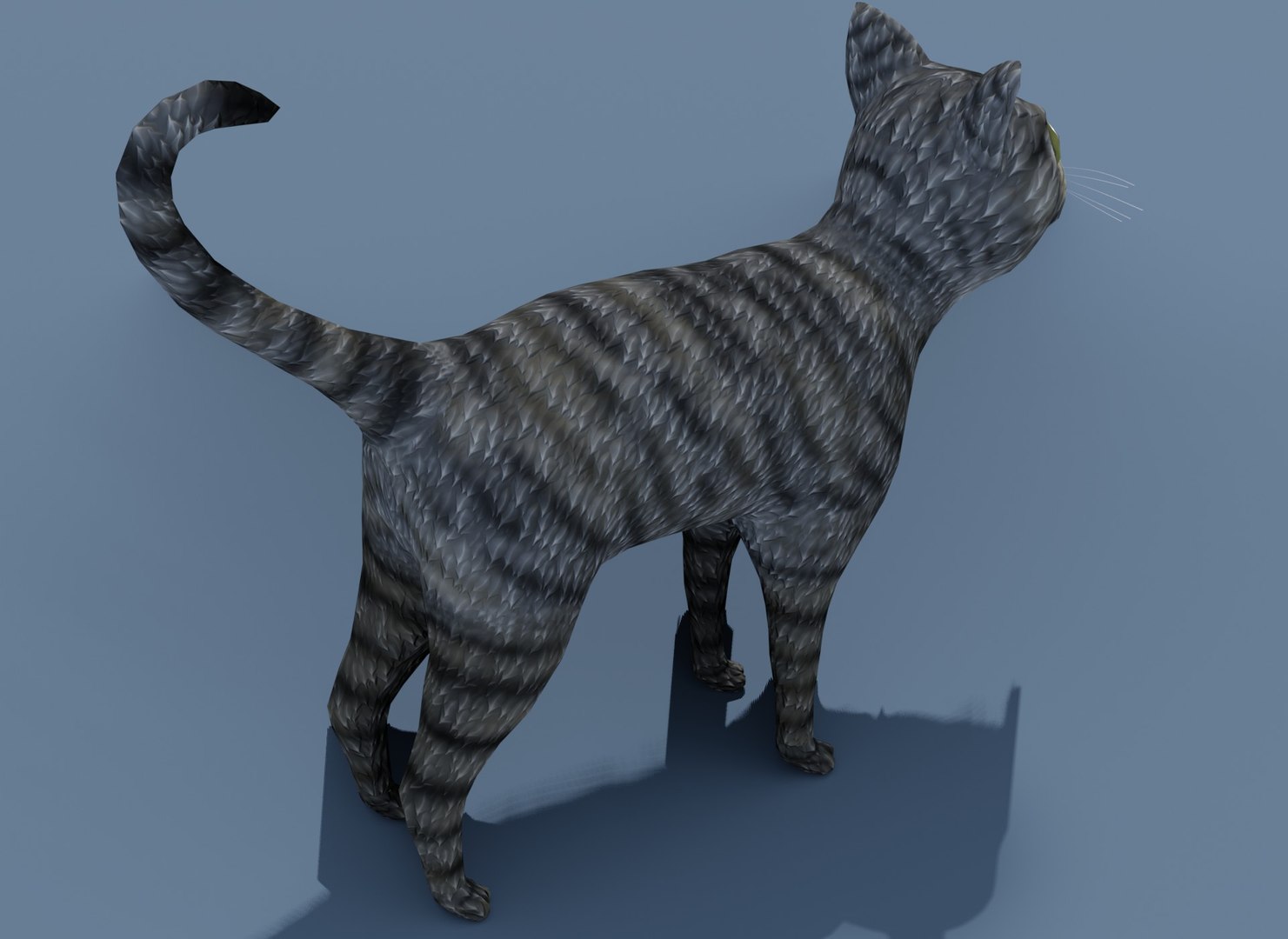 3D cartoon cat brown grey model - TurboSquid 1540998