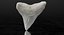 Shark Teeth Carcharodon Angustidens 3D Model