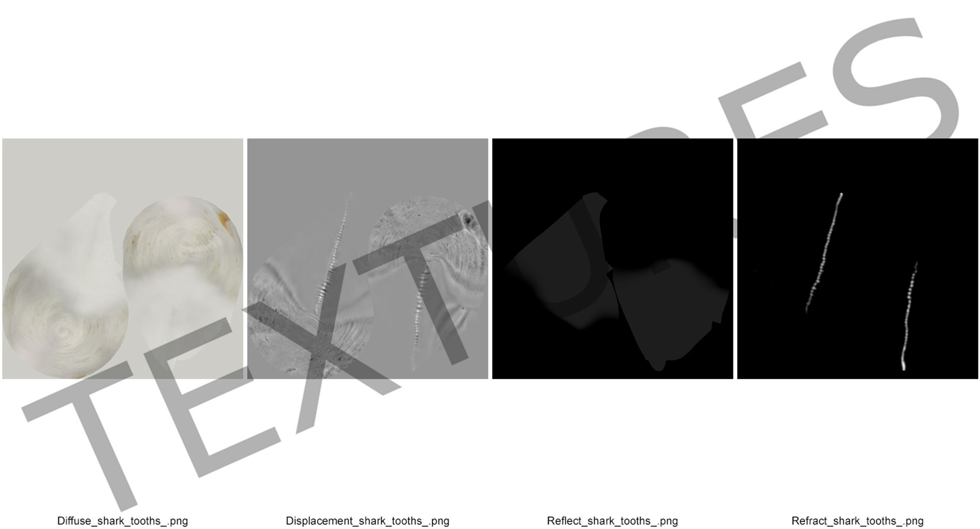 shark teeth carcharodon angustidens 3D https://p.turbosquid.com/ts-thumb/HW/PBNSpH/KCiu5Wdp/sharkteethcarcharodonangustidens3dmodel016/jpg/1560376627/1920x1080/fit_q87/a2e114135f42c981258e3d86ebf9cb2e782e4a5e/sharkteethcarcharodonangustidens3dmodel016.jpg