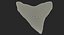 Shark Teeth Carcharodon Angustidens 3D Model