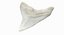 Shark Teeth Carcharodon Angustidens 3D Model