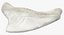Shark Teeth Carcharodon Angustidens 3D Model