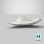 Shark Teeth Carcharodon Angustidens 3D Model