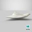Shark Teeth Carcharodon Angustidens 3D Model