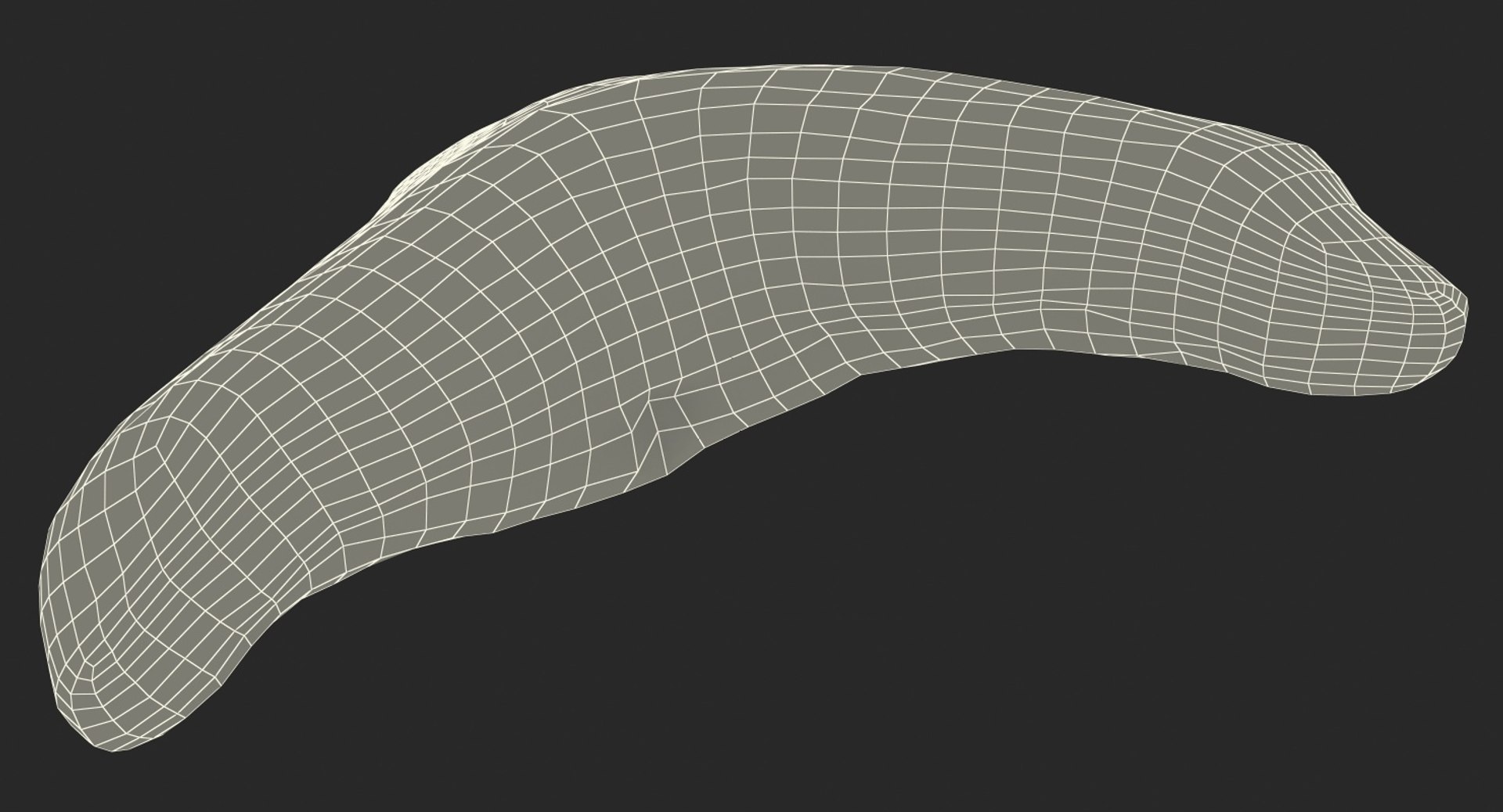 shark teeth carcharodon angustidens 3D https://p.turbosquid.com/ts-thumb/HW/PBNSpH/uOdNyx4x/sharkteethcarcharodonangustidens3dmodel021/jpg/1560376648/1920x1080/fit_q87/d8fea48b372ebd4901309a1e3ce0ad73919a4a91/sharkteethcarcharodonangustidens3dmodel021.jpg