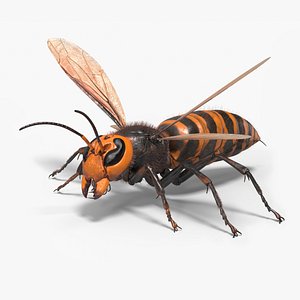 3D model Vespa Mandarinia Fur Rigged