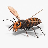 Vespa Mandarinia Fur Rigged