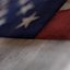 Flag American