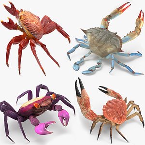 rigged crabs 3D model