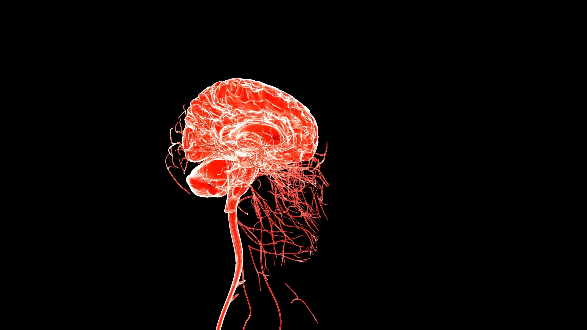 3D Brain model https://p.turbosquid.com/ts-thumb/HW/rnkBzF/08/1.551/jpg/1640774021/1920x1080/fit_q87/09333a12483fa83d91991a0147de67d92815dcb3/1.551.jpg