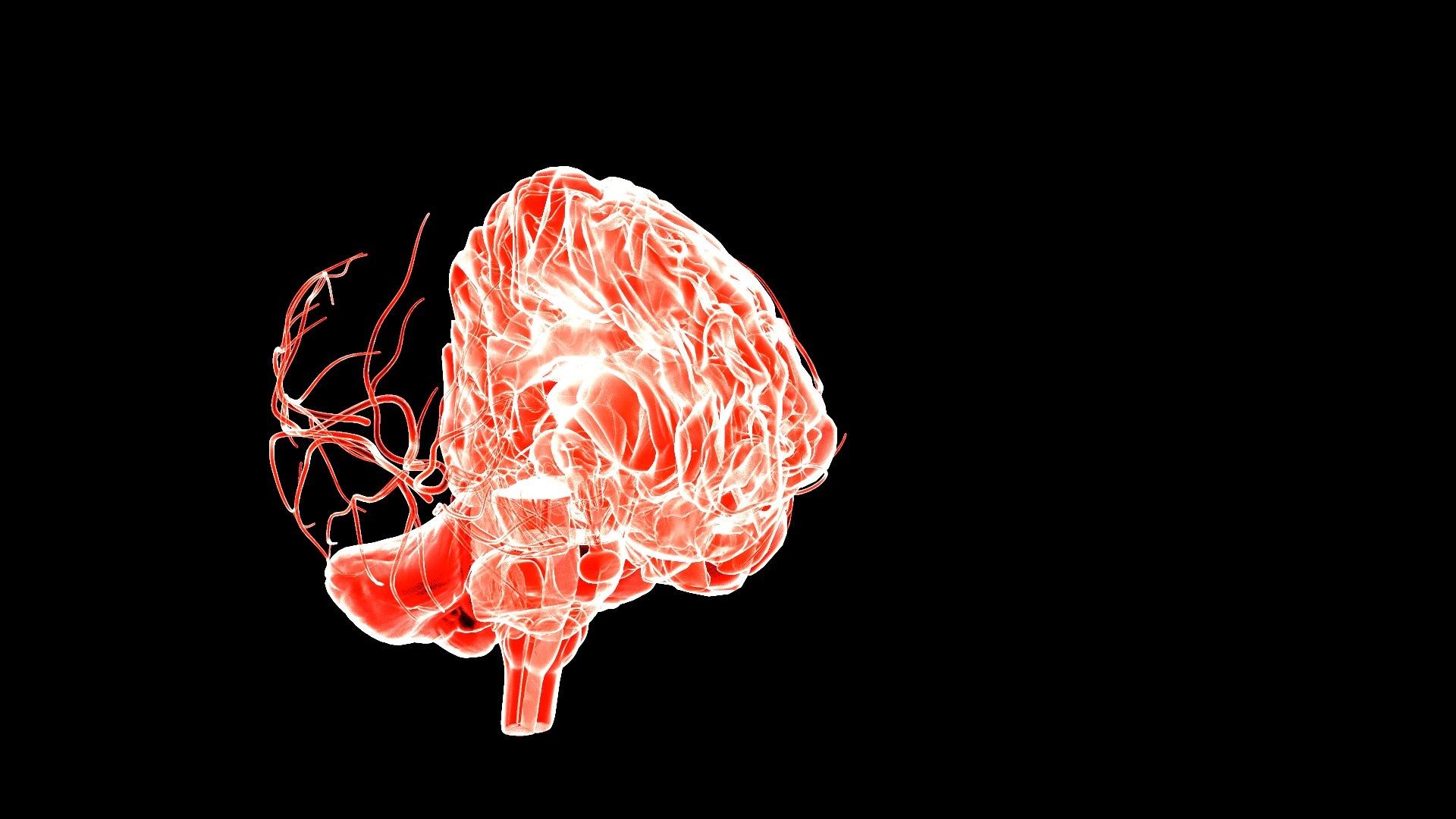 3D Brain model https://p.turbosquid.com/ts-thumb/HW/rnkBzF/1m/1.552/jpg/1640774031/1920x1080/fit_q87/5f62bff9ecba5a33dfa283dda9340af81db70481/1.552.jpg
