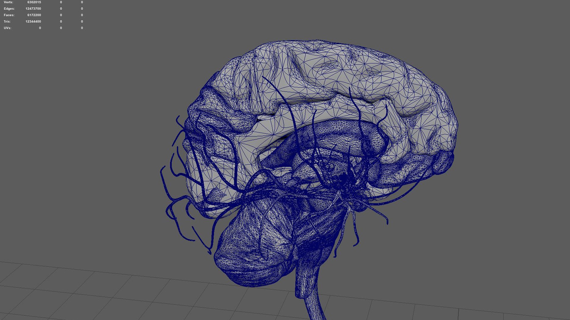 3D Brain model https://p.turbosquid.com/ts-thumb/HW/rnkBzF/bH/8/jpg/1640774026/1920x1080/fit_q87/483490897a6856a55ca4c4a5b217baacb2c522ee/8.jpg