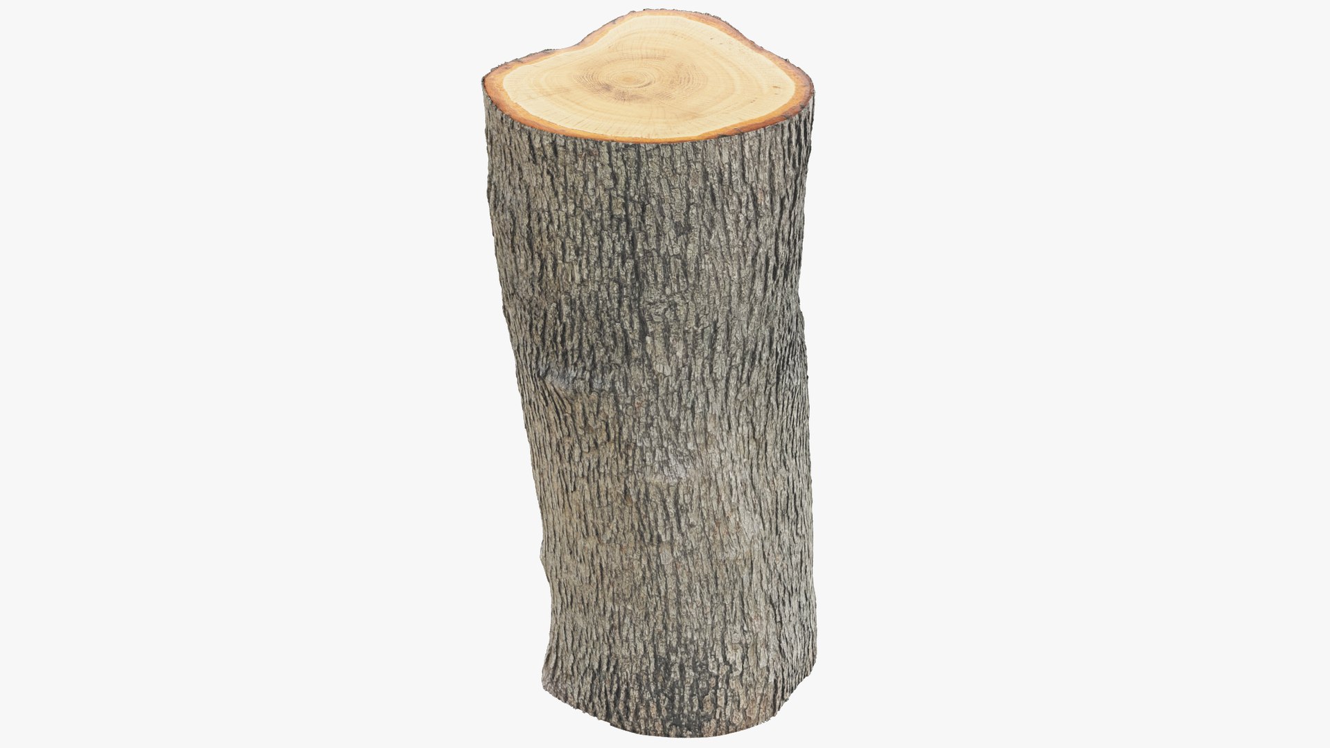 Tree Stump and Axe Collection V2 3D model https://p.turbosquid.com/ts-thumb/HW/tVbQ8o/8c/log2_004_002/png/1702354434/1920x1080/fit_q87/f83130a090bc82e713d963f9733dcd8f5265296f/log2_004_002.jpg