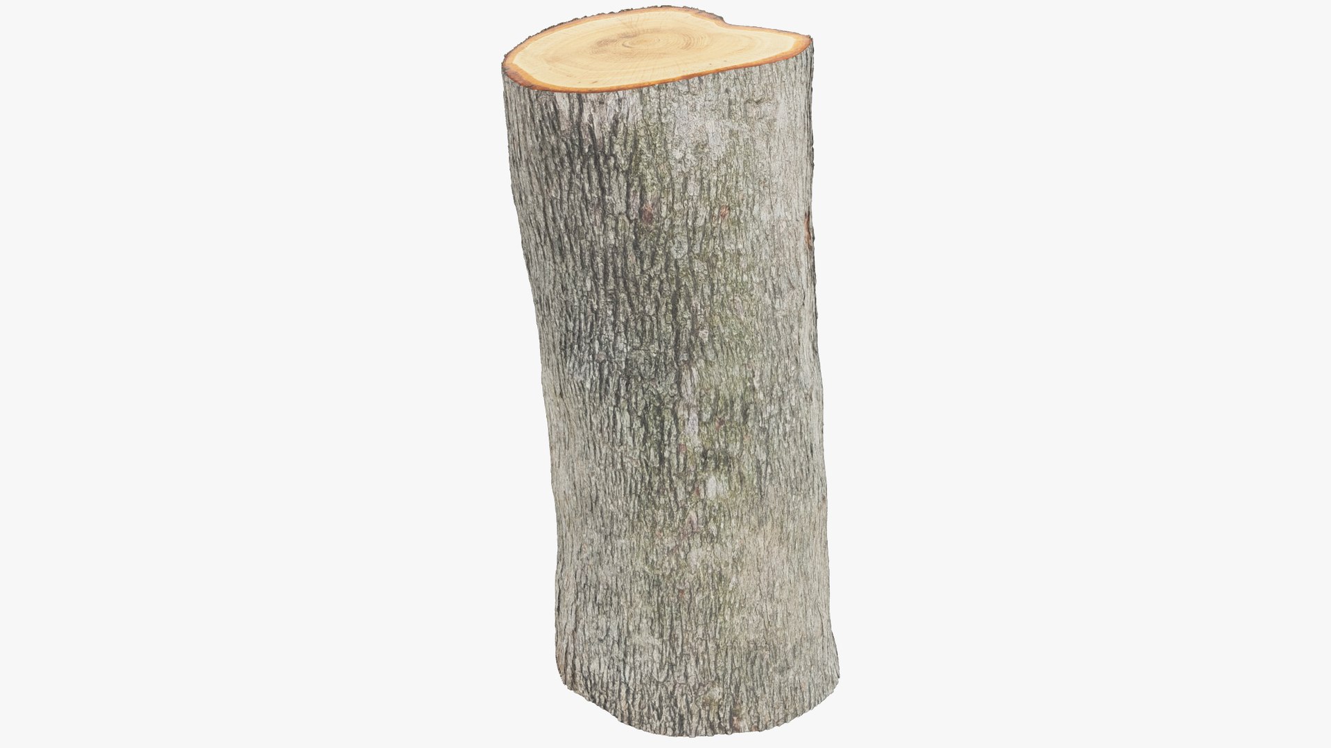 Tree Stump and Axe Collection V2 3D model https://p.turbosquid.com/ts-thumb/HW/tVbQ8o/8i/log2_004_005/png/1702354441/1920x1080/fit_q87/193a1159597a76cd98d6bec08aaa1966e5ae88b4/log2_004_005.jpg