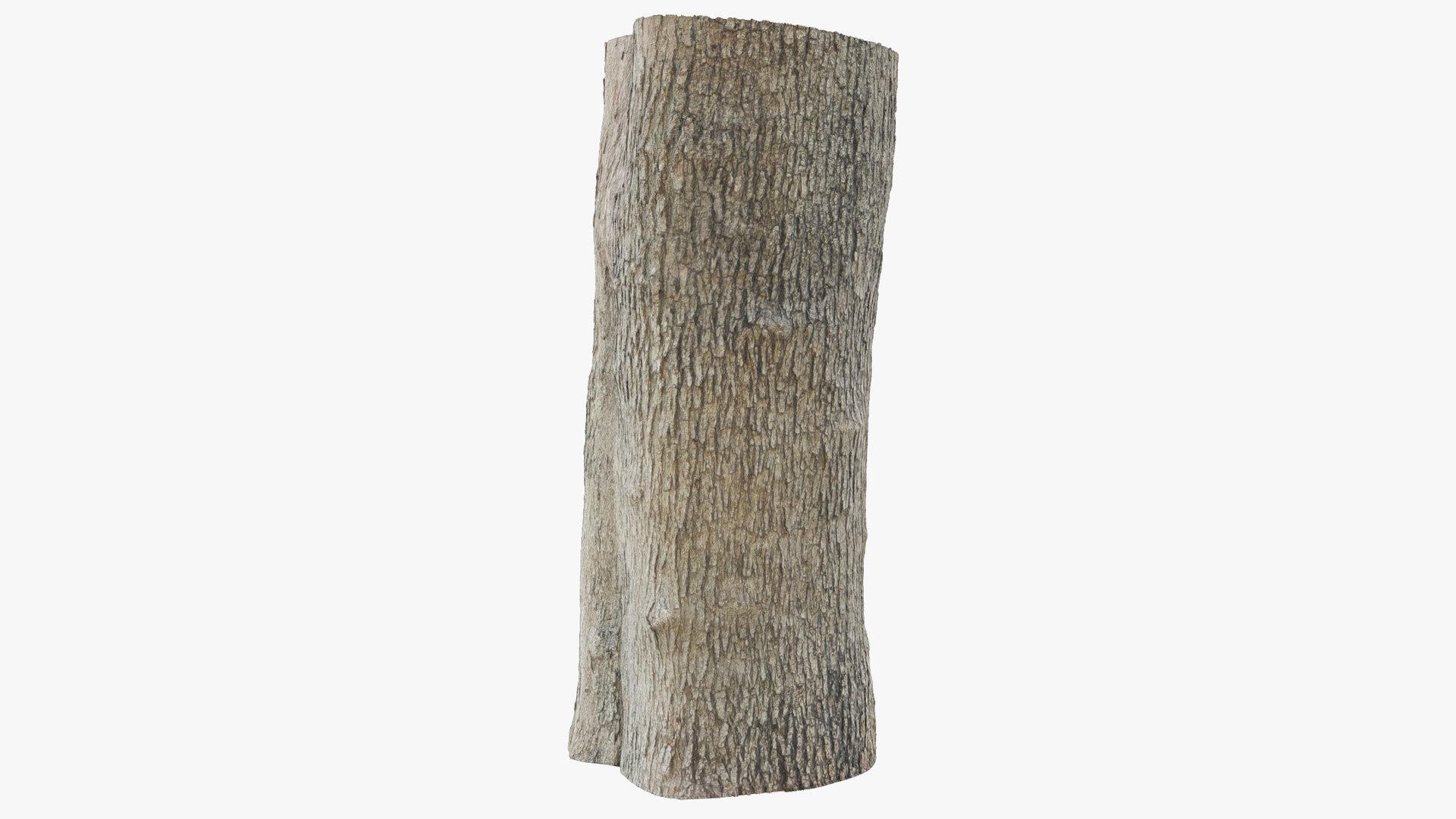Tree Stump and Axe Collection V2 3D model https://p.turbosquid.com/ts-thumb/HW/tVbQ8o/EI/log2_004_012/png/1702354446/1920x1080/fit_q87/2405d35e88fa23952a0259261d8068efb234153a/log2_004_012.jpg