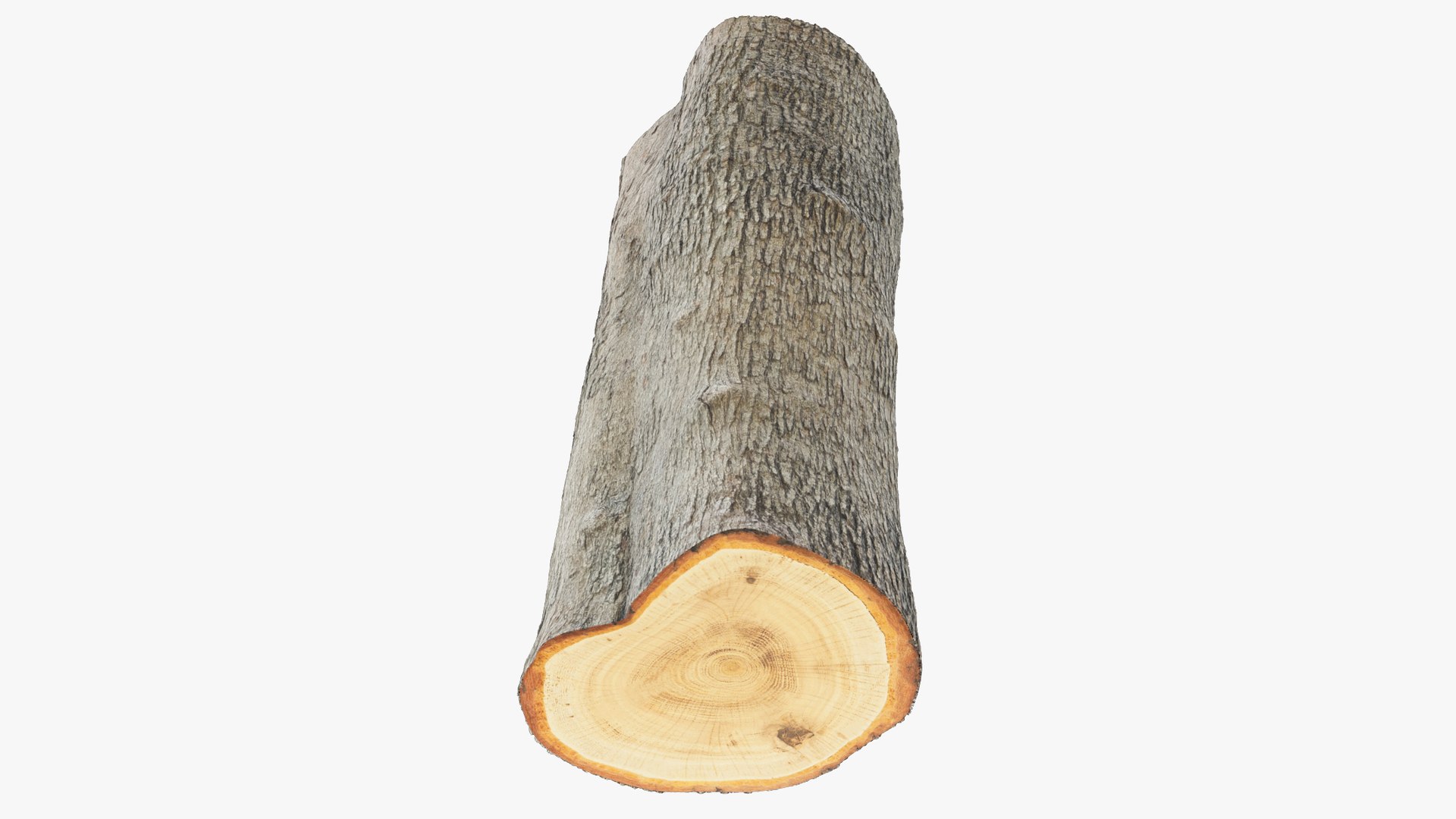 Tree Stump and Axe Collection V2 3D model https://p.turbosquid.com/ts-thumb/HW/tVbQ8o/Nw/log2_004_013/png/1702354449/1920x1080/fit_q87/a540485420ff5944642469558de7f0c240265f97/log2_004_013.jpg