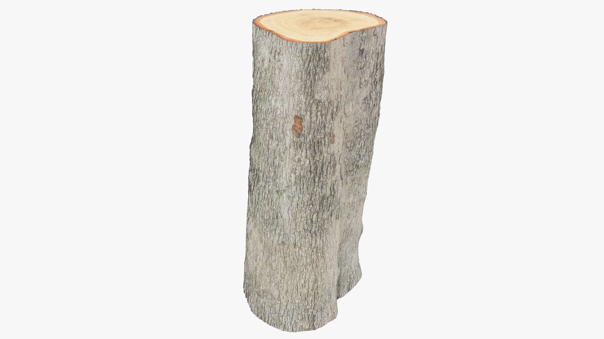 Tree Stump and Axe Collection V2 3D model https://p.turbosquid.com/ts-thumb/HW/tVbQ8o/qw/log2_004_007/png/1702354439/1920x1080/fit_q87/1a29b5572aab955793e33fa3d29ac219a252c45f/log2_004_007.jpg
