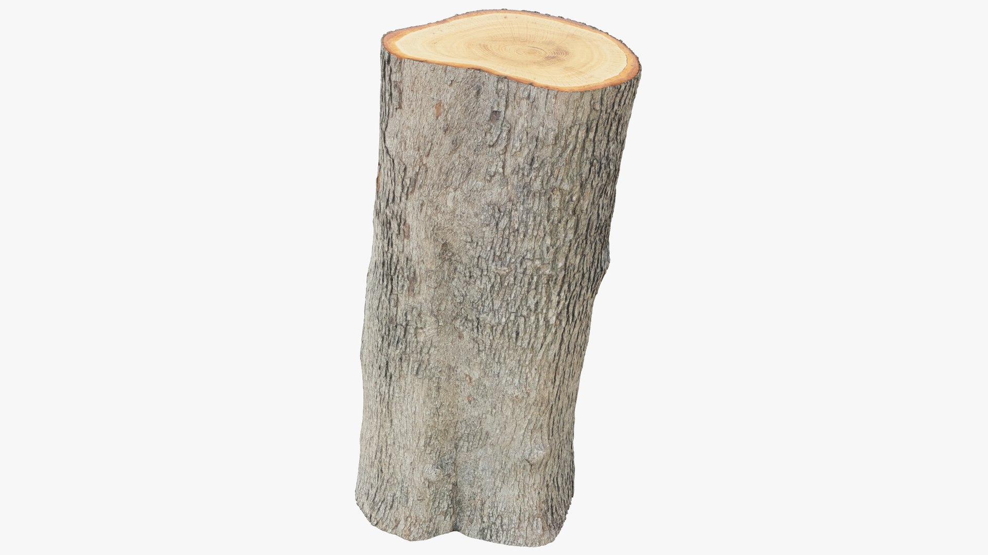 Tree Stump and Axe Collection V2 3D model https://p.turbosquid.com/ts-thumb/HW/tVbQ8o/v0/log2_004_009/png/1702354445/1920x1080/fit_q87/103479c1bf760e8b6cf331692308daef25e0c900/log2_004_009.jpg
