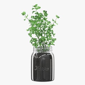 Parsley