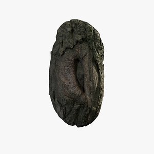 3D Anydrafts Salix matsudana Burl 03