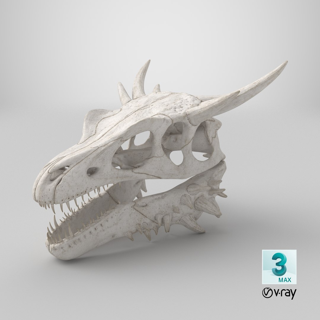 3D Dragon Skull https://p.turbosquid.com/ts-thumb/HX/0N1o6U/Po/stemcell_max_vray_render/png/1742568360/1920x1080/fit_q87/37ab055ca7484ad57732f9b01d9d39152149b591/stemcell_max_vray_render.jpg
