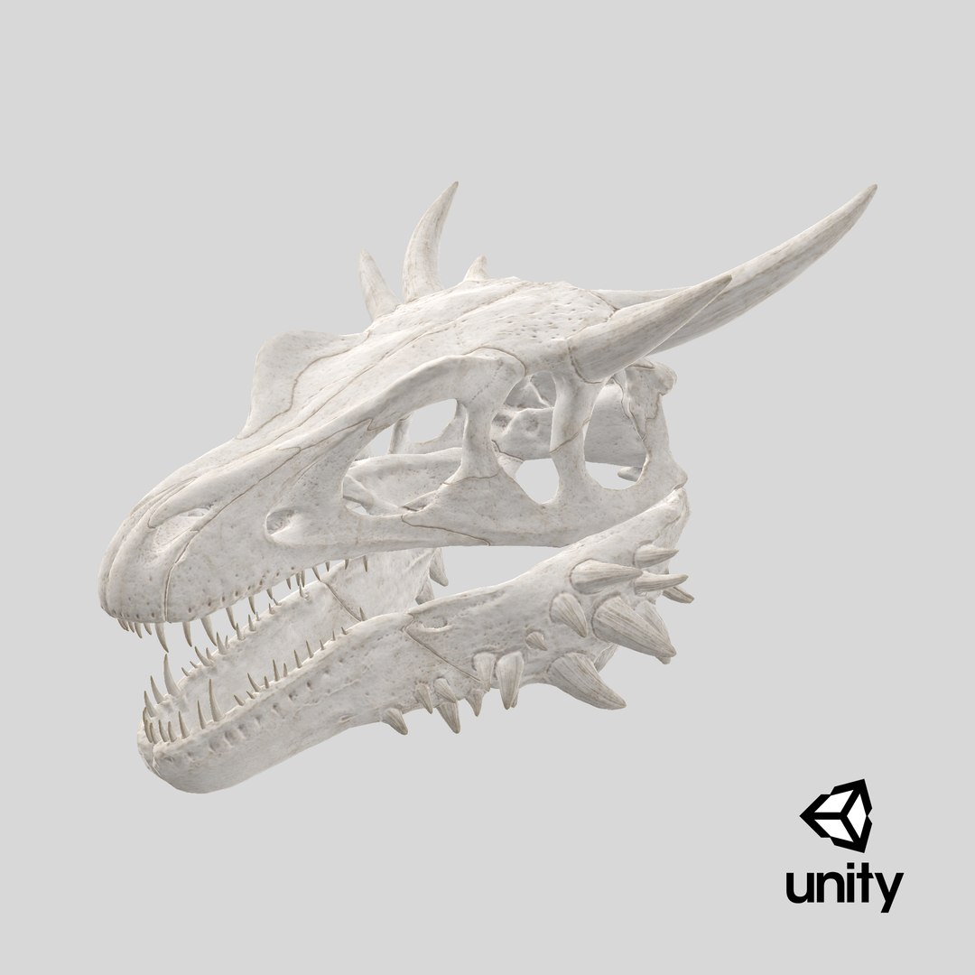 3D Dragon Skull https://p.turbosquid.com/ts-thumb/HX/0N1o6U/VQ/stemcell_unity_render/png/1742568365/1920x1080/fit_q87/ced6593cdf3399d20ccb023286b7c0f6cdf74b34/stemcell_unity_render.jpg