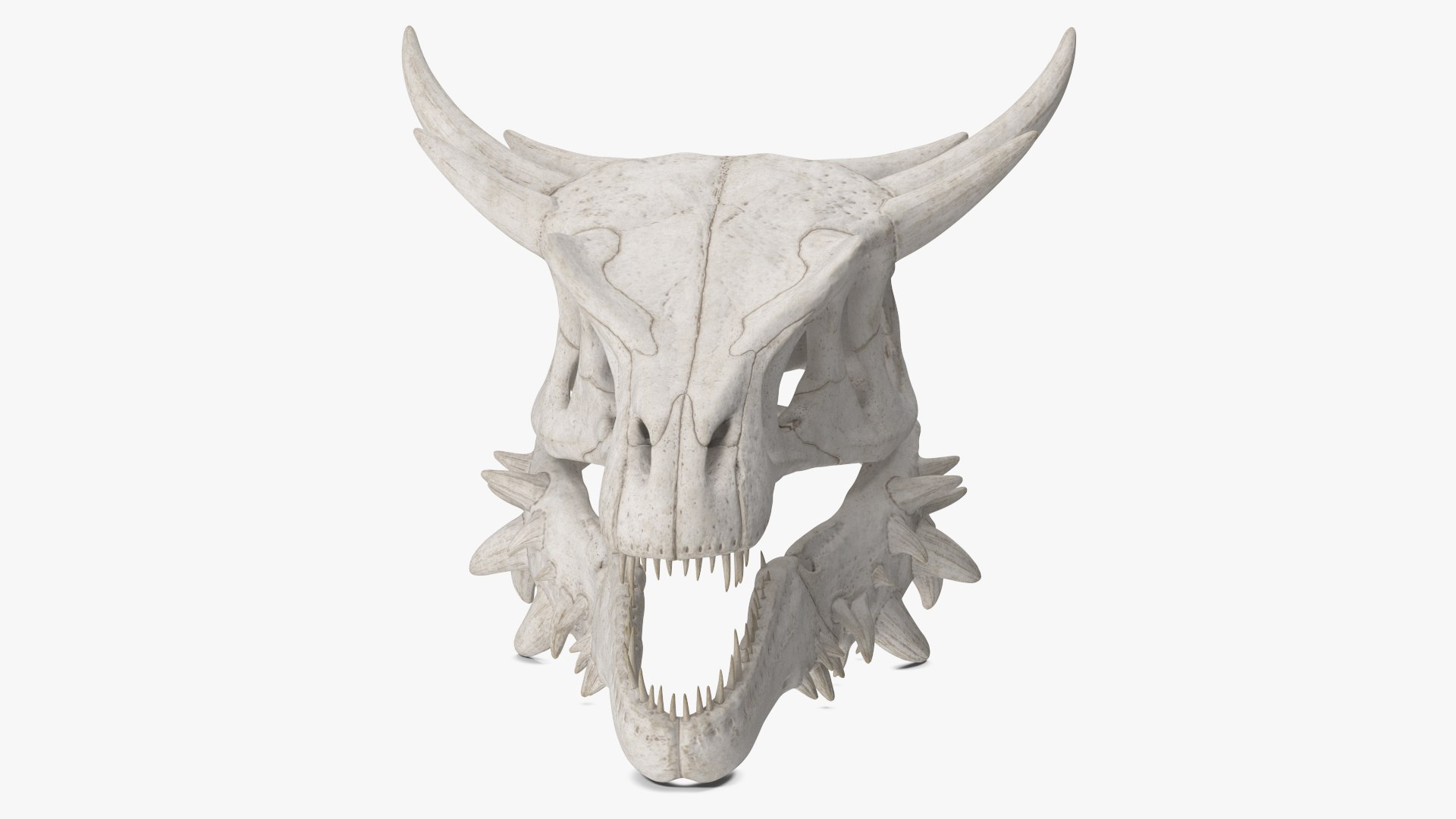 Dragon Skull 3D model preview