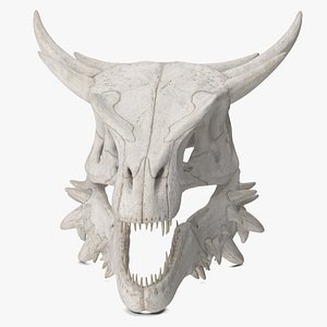 Dragon Skull