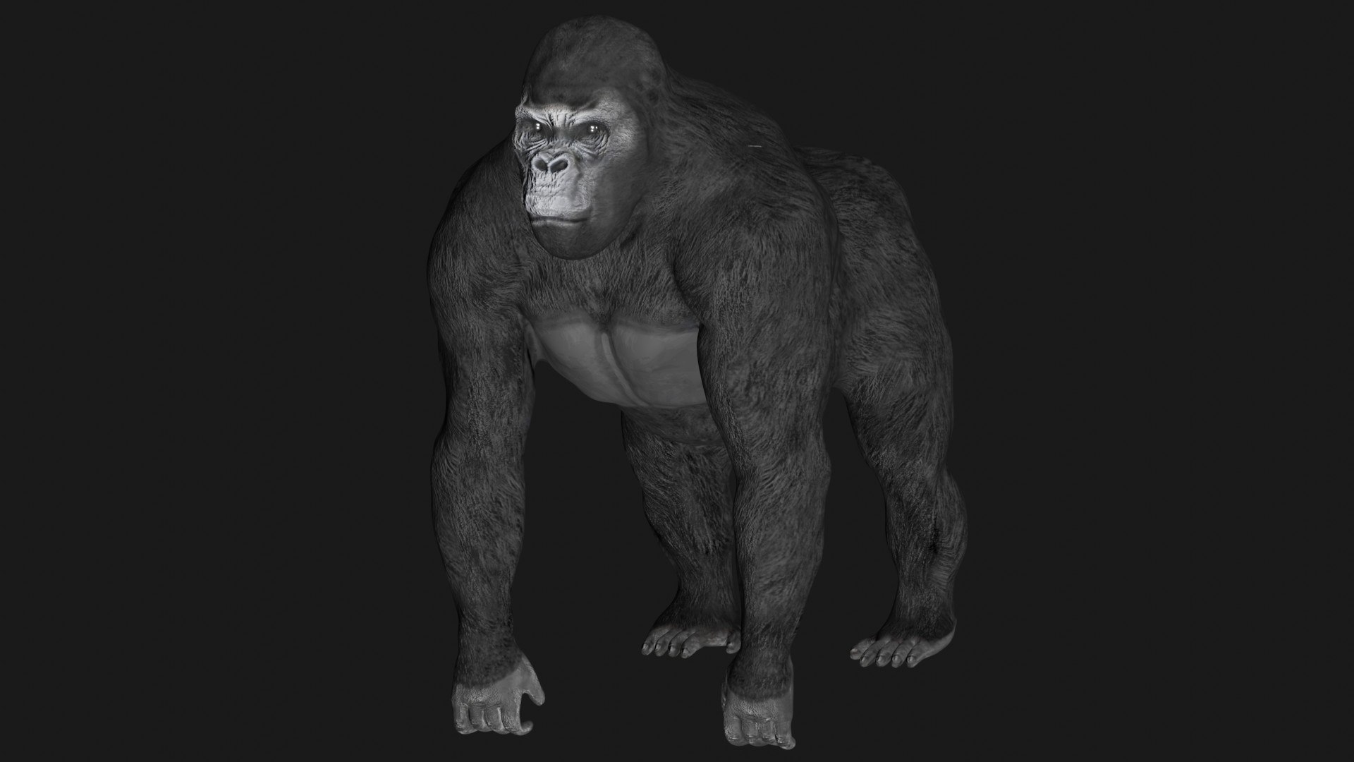 3D Gorilla Rigged Model - TurboSquid 1666452