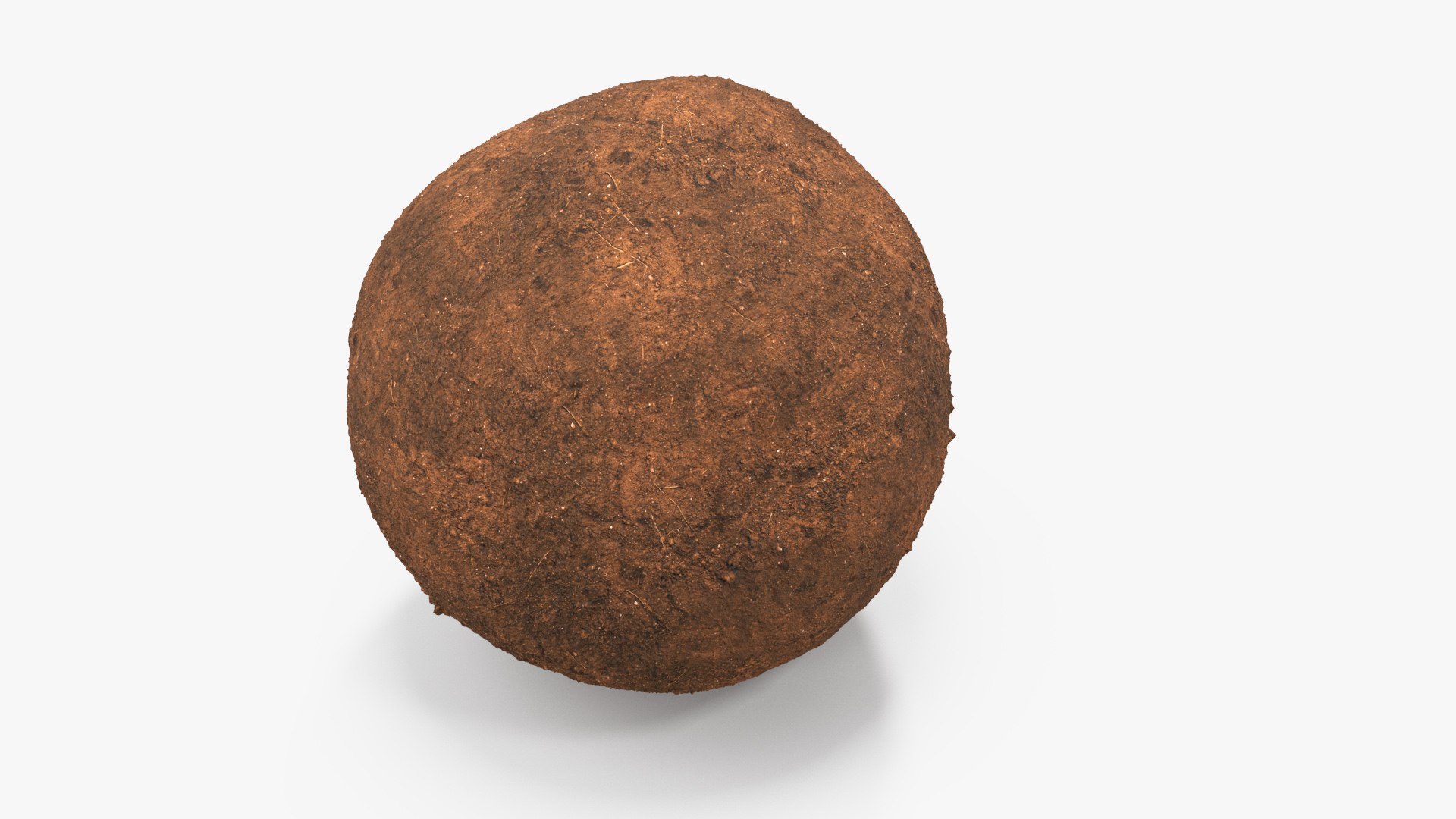 3D Dung Sphere model https://p.turbosquid.com/ts-thumb/HX/BKnxk6/Ay/dungspheremb3dmodel001/jpg/1729973824/1920x1080/fit_q87/066a807c565b1bfb96ac7dec8a1d0bdbf5f08e4c/dungspheremb3dmodel001.jpg