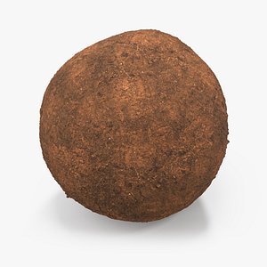 3D Dung Sphere model